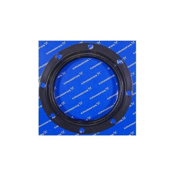 Pump Repair Kits- Kit, Rubber seal (80035286: 96068320), Spare Part.